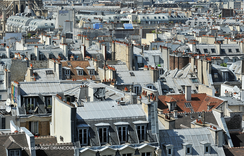 Détail sur les toits de Paris