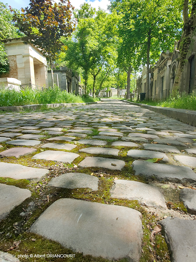 Cimetière classique sillonné par des grandes allées pavées...