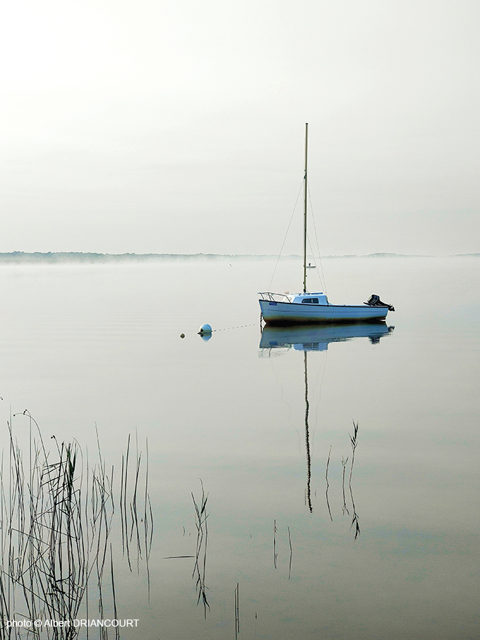 photo ou peinture ? Lac de Lacanau