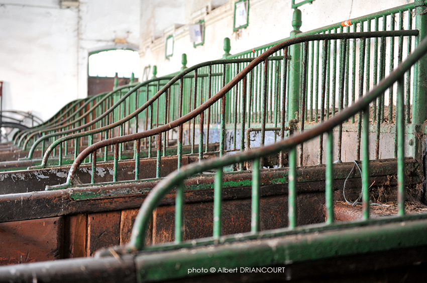 les stalles à l'abandon...