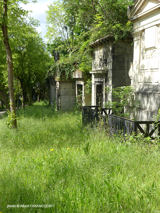 Une allée pavée bordée d'herbes hautes, un choix, pas de la négligence. 
