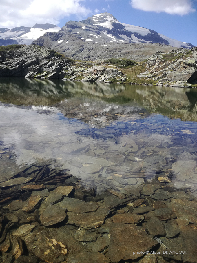 la transparence des lacs de montagne