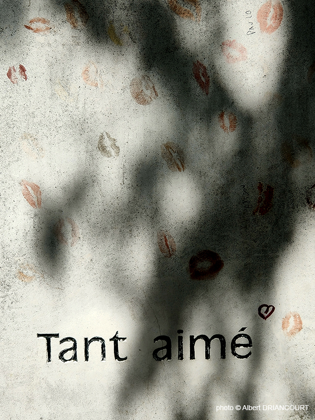Détail de la tombe d'Alain Bashung...