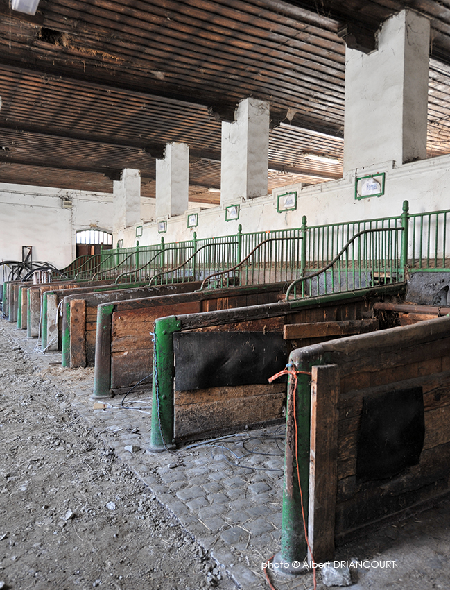 depuis le départ des chevaux en 2004, tout est resté "dans son jus"