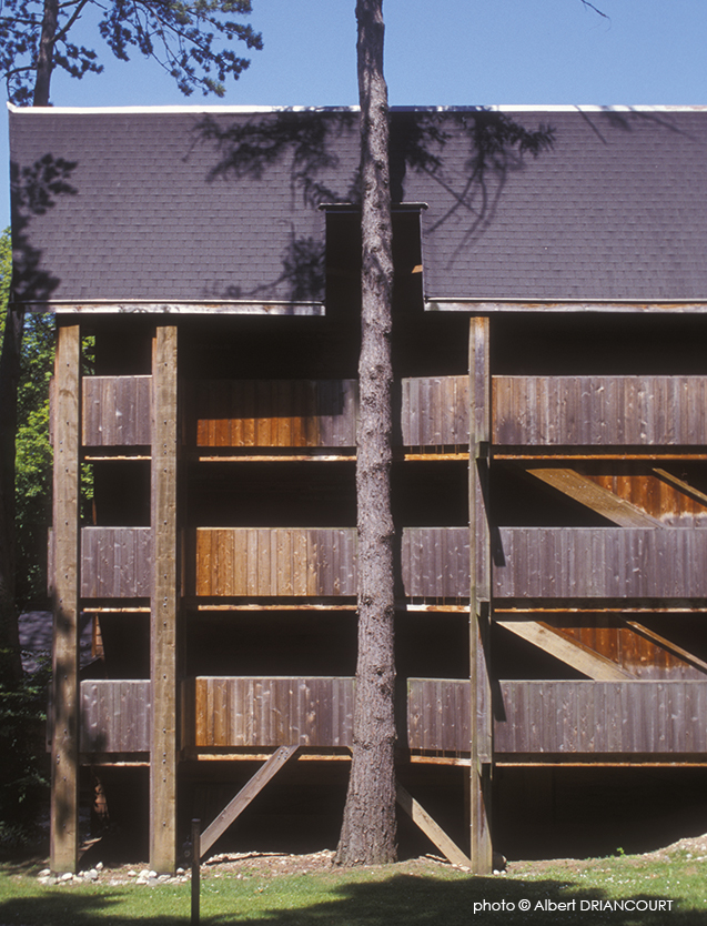 Construire en respectant les arbres existants. La Grange au Lac, Evian. Architecte Patrick Bouchain