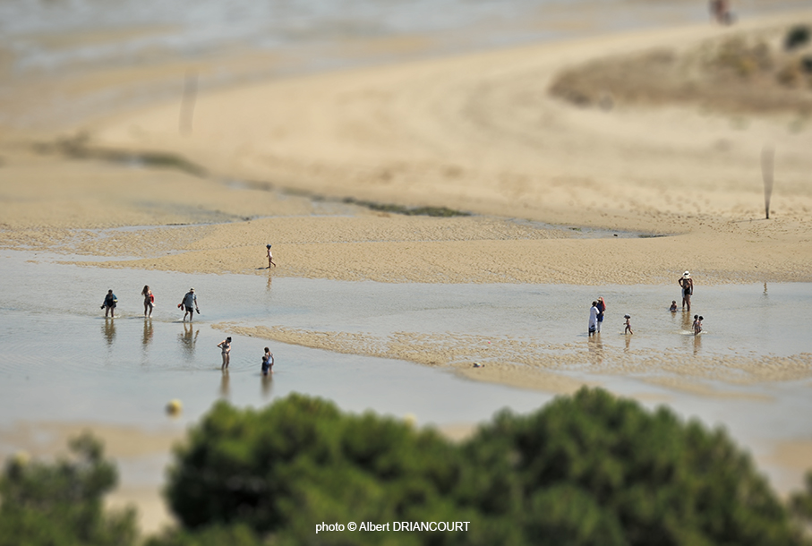 Marée basse avec un petit effet tilt-shift