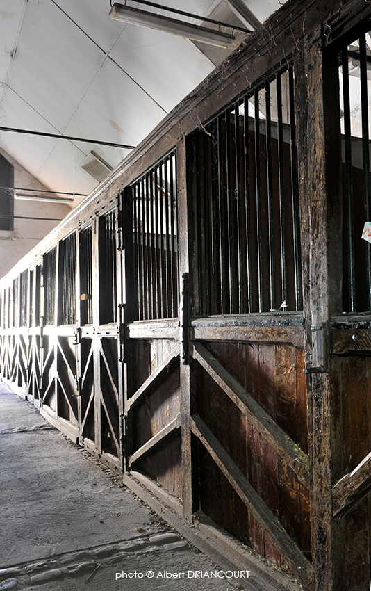 Côté Haras, les boxes, résidence des étalons