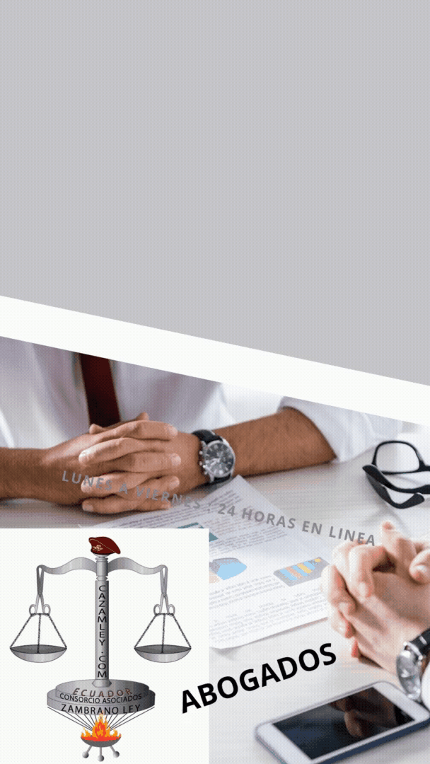 consultas en linea las 24 horas, privada con aboagado penalista 