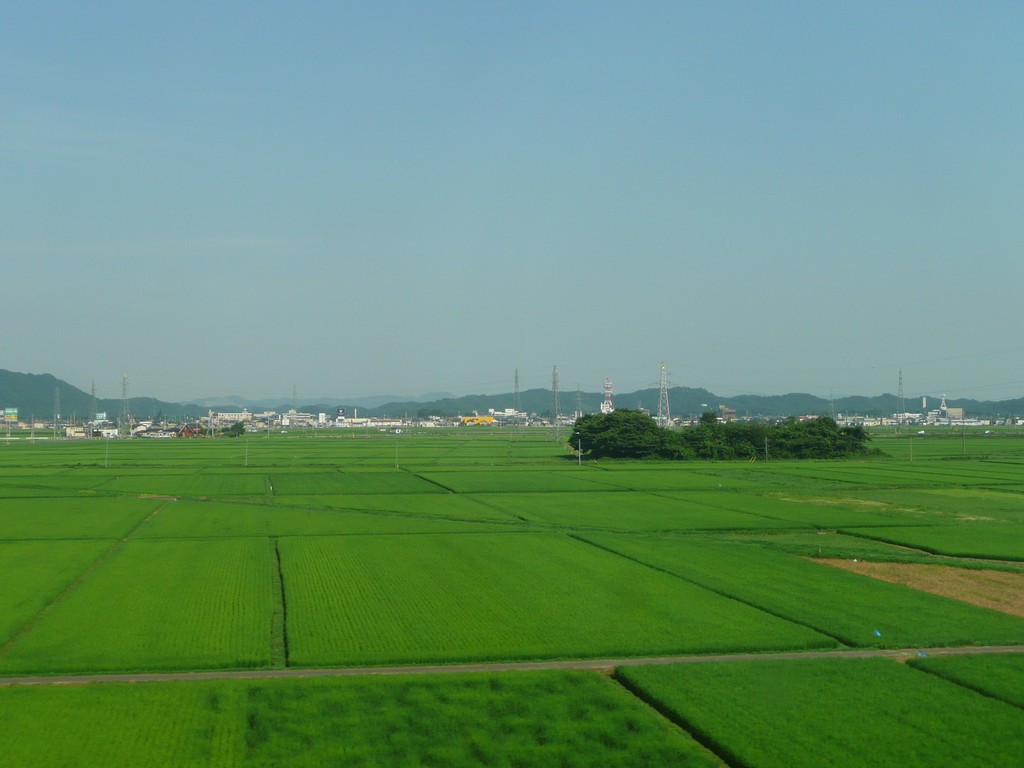 Typisch Japan: Reisfelder und Strommasten wo man hinschaut