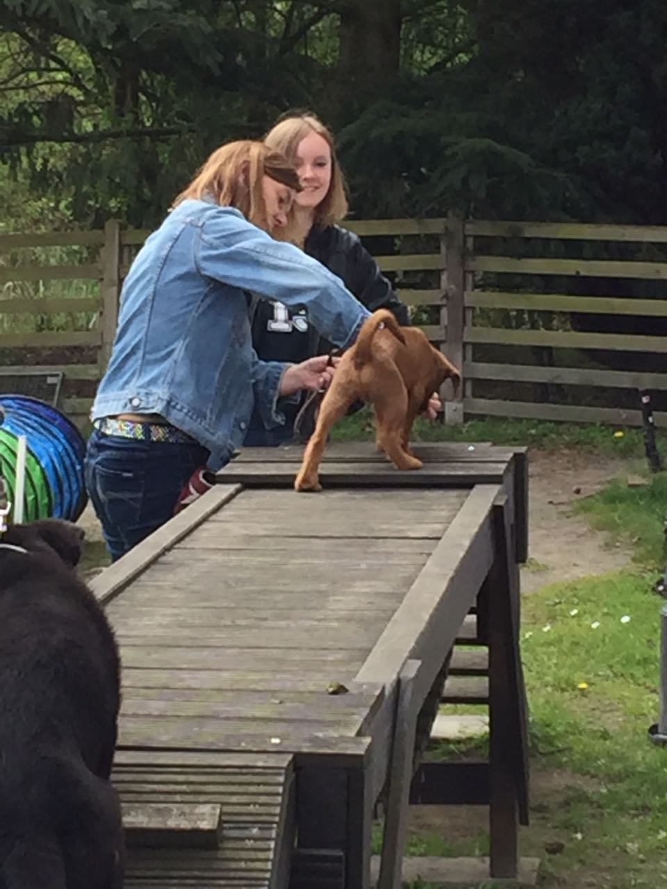 Celtic Crackers Outlander Scott in der Hundeschule.