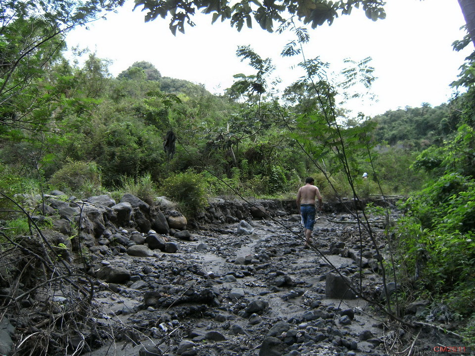 La Rivière Blanche Flabelline
