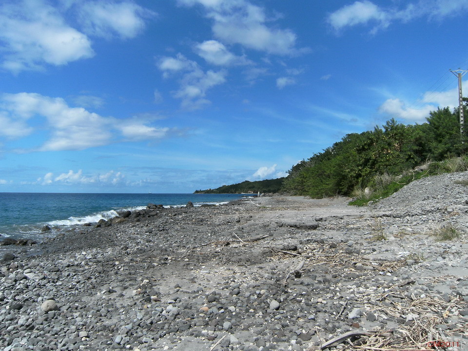 La Rivière Blanche Flabelline
