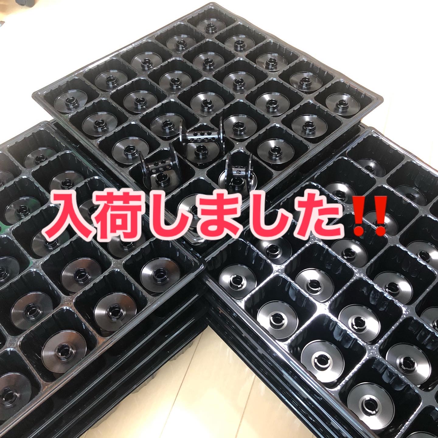 深溝6000番スプール入荷案内