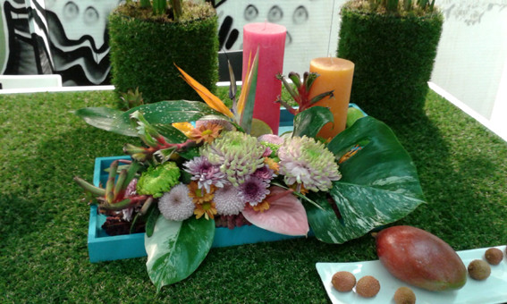 IPM 2016