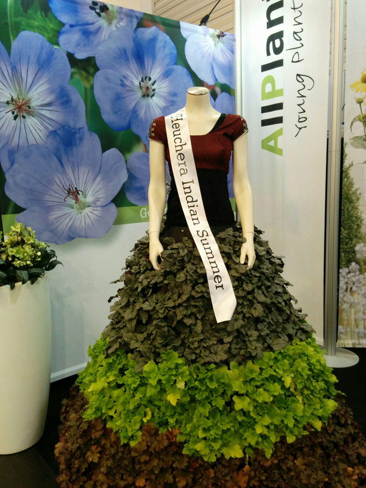 IPM 2018