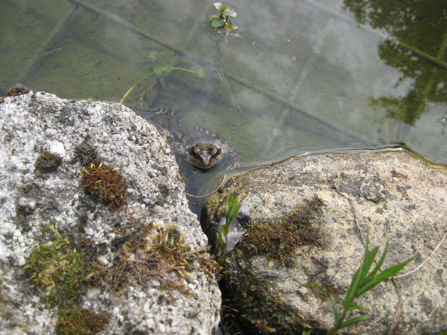 Besuch im Garten Haßing