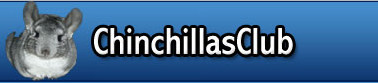 Foro ChinchillasClub