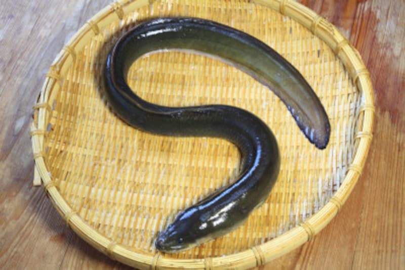 貸切