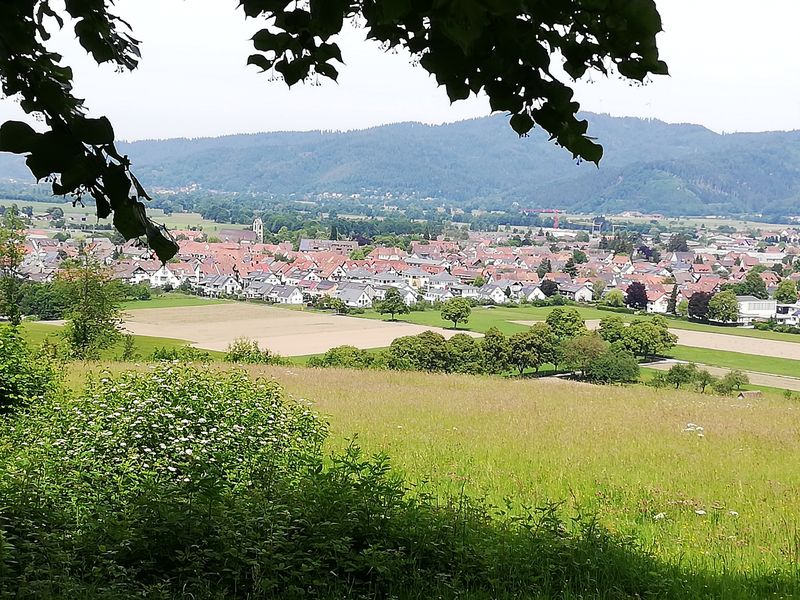 Aufstieg von Kirchzarten aus