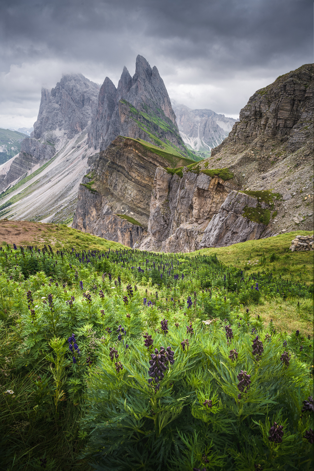 Seceda - Ridgeline