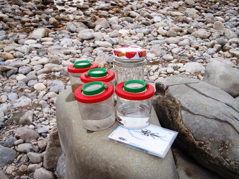 Umweltbildung an der Isar | Foto J. Prummer