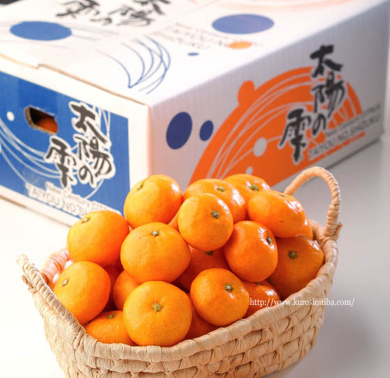 太陽の雫 - 日南海岸黒潮市場