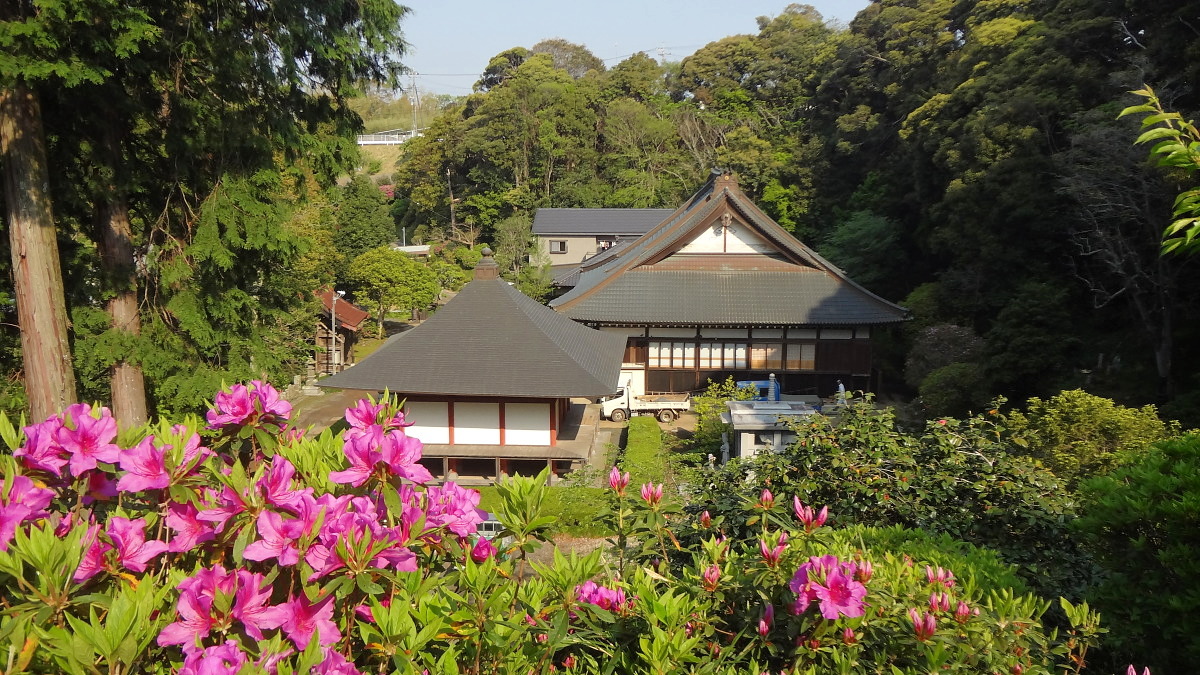 境内のつつじ（4月）