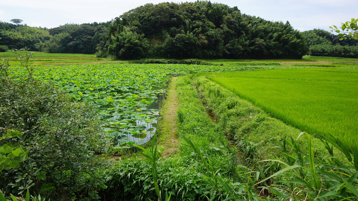 溝原地先