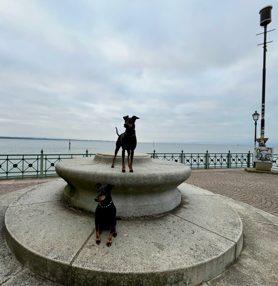 Grüsse vom Bodensee ☺️