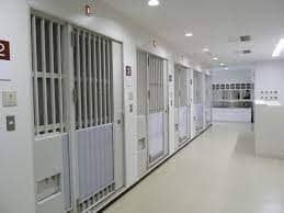 風営法違反で逮捕されるとどうなる？手続きの流れと必要な対応