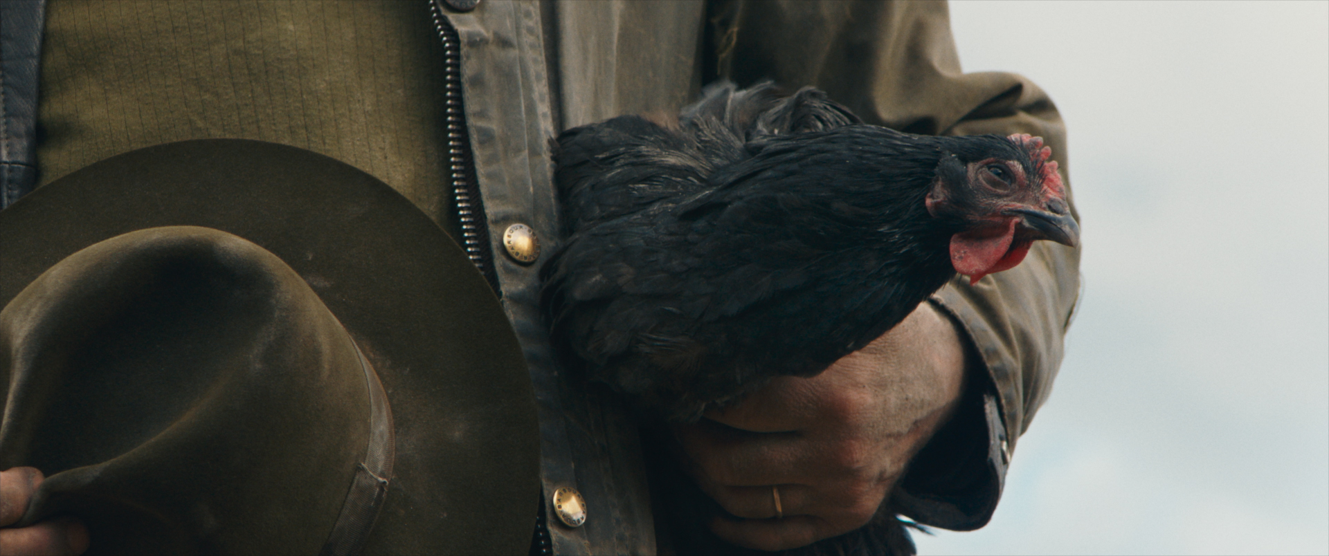 HEN: STORIA DI UNA GALLINA venerdì 24, sabato 25: ore 21:00 domenica 26: ore 18:30 – 21:00 #henStoriaDiUnaGallina #HEN