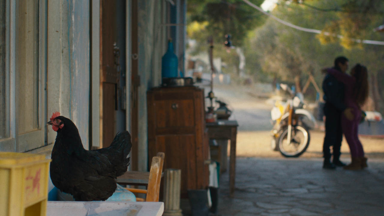 HEN: STORIA DI UNA GALLINA venerdì 24, sabato 25: ore 21:00 domenica 26: ore 18:30 – 21:00 #henStoriaDiUnaGallina #HEN