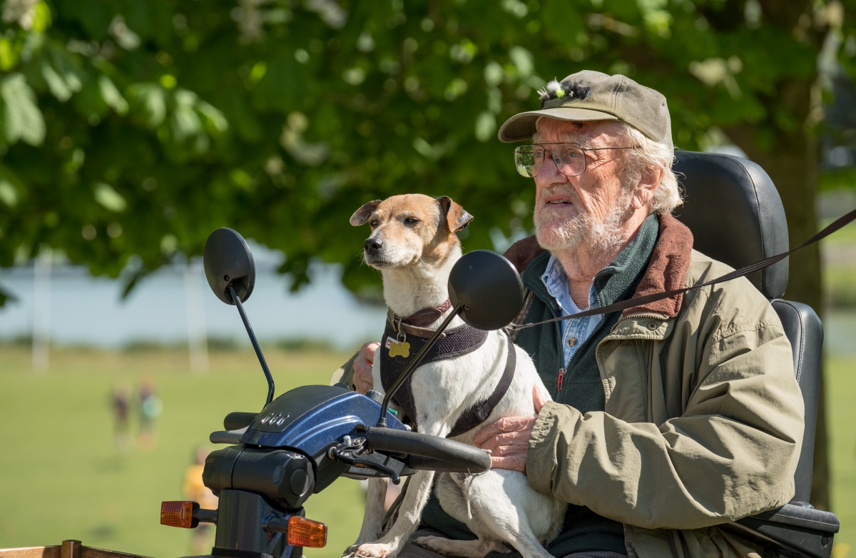 EVENTO    IL CARLINO D'ORO          con proiezione    del film    "ti presento Patrick"      al cinema col cane    12 ottobre ore 15:30