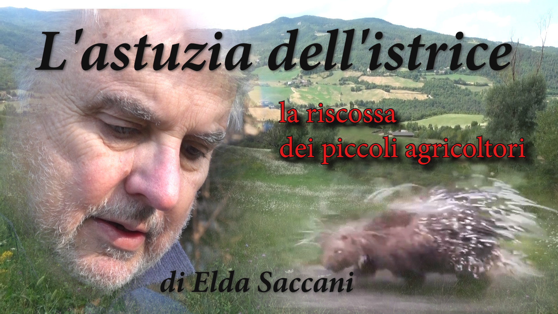 Cinema Le Grazie Bobbio – ottobre – INGRESSO LIBERO L’ASTUZIA DELL’ISTRICE Sabato 3: ore 16:00 In sala la regista Elda Saccani e la giornalista Maria Vittoria Gazzola.