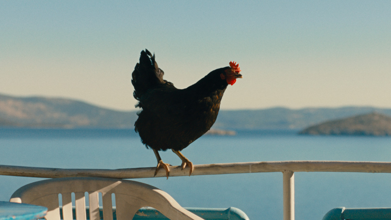 HEN: STORIA DI UNA GALLINA venerdì 24, sabato 25: ore 21:00 domenica 26: ore 18:30 – 21:00 #henStoriaDiUnaGallina #HEN
