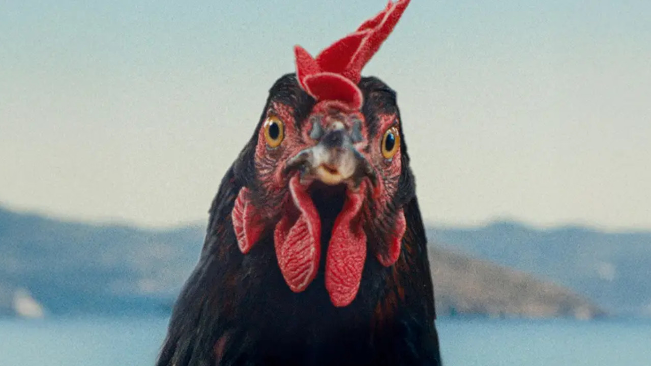 HEN: STORIA DI UNA GALLINA venerdì 24, sabato 25: ore 21:00 domenica 26: ore 18:30 – 21:00 #henStoriaDiUnaGallina #HEN