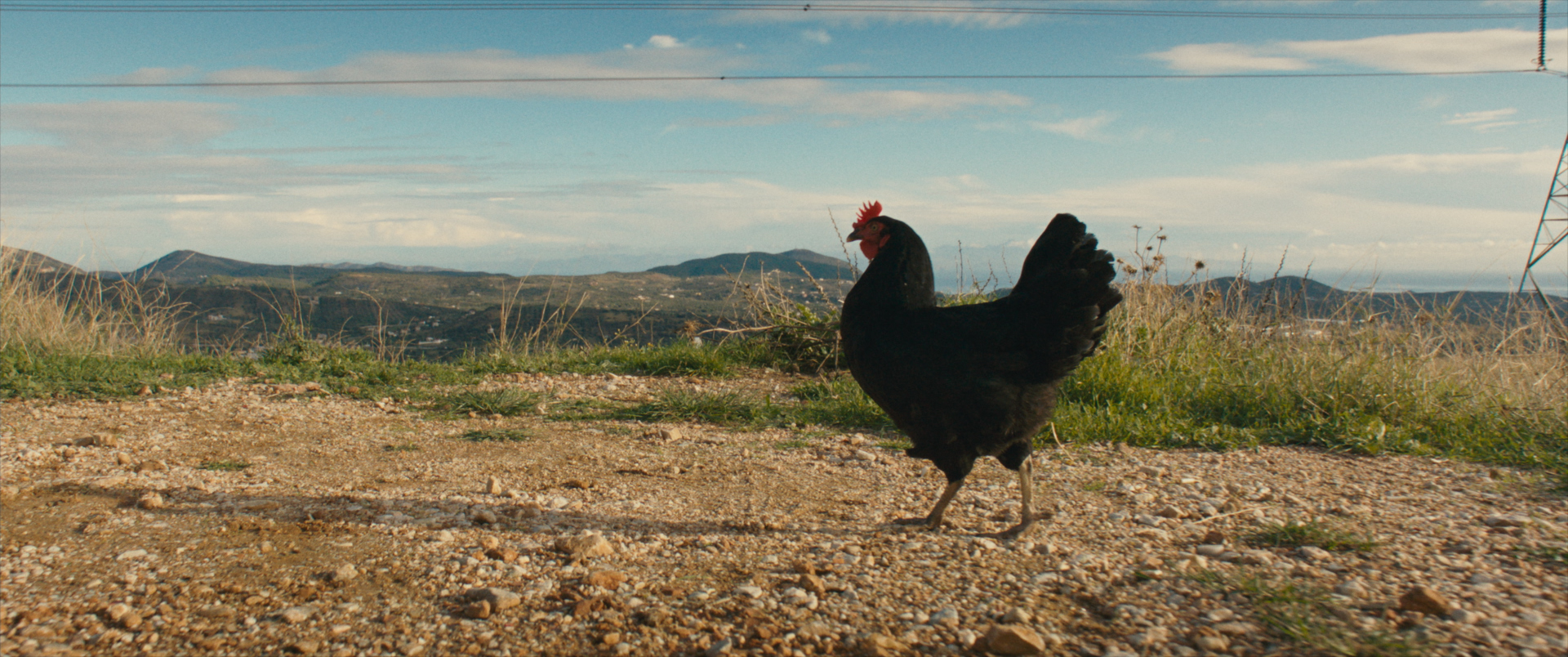 HEN: STORIA DI UNA GALLINA venerdì 24, sabato 25: ore 21:00 domenica 26: ore 18:30 – 21:00 #henStoriaDiUnaGallina #HEN
