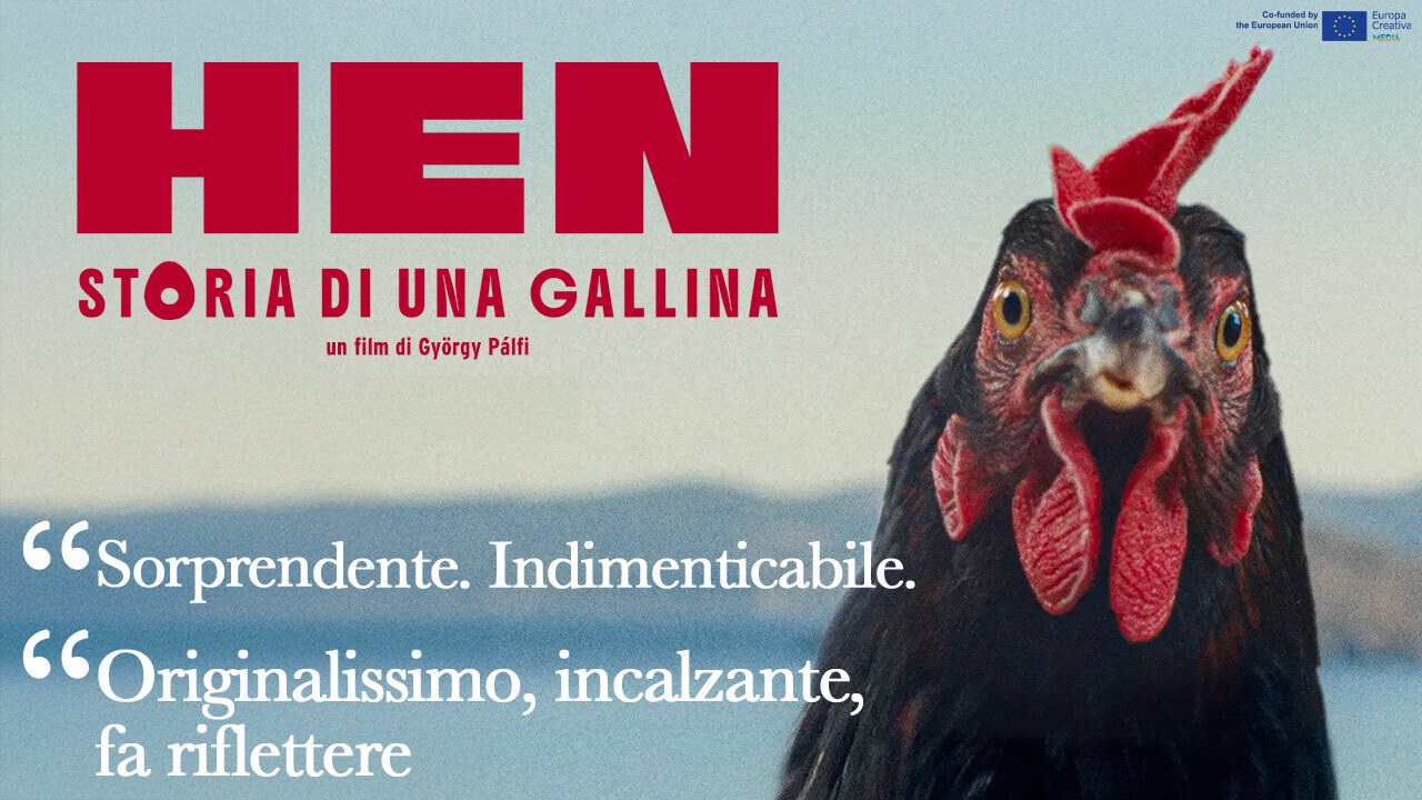 HEN: STORIA DI UNA GALLINA venerdì 24, sabato 25: ore 21:00 domenica 26: ore 18:30 – 21:00 #henStoriaDiUnaGallina #HEN