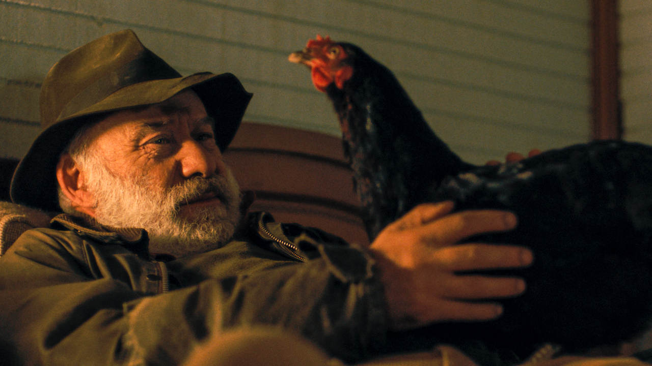 HEN: STORIA DI UNA GALLINA venerdì 24, sabato 25: ore 21:00 domenica 26: ore 18:30 – 21:00 #henStoriaDiUnaGallina #HEN