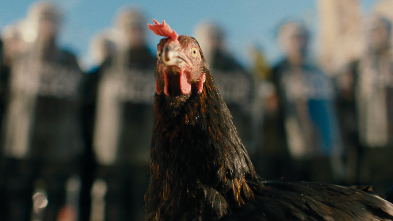 HEN: STORIA DI UNA GALLINA venerdì 24, sabato 25: ore 21:00 domenica 26: ore 18:30 – 21:00 #henStoriaDiUnaGallina #HEN