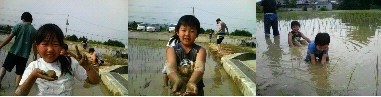 和歌山 大地虹色　 森のようちえん　 全日制小学校　 開園 開校 フリースクール オルタナティブスクール 日本食養協会 西式甲田療法 甲田式 甲田光雄 食育 無添加 ビーガン オーガニック 自給 少食 RAW マクロビオティック 秋山佳胤 能木ひろみ ファスティング 断食 腸活 レストラン 自然食