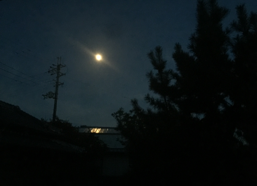 夜の若者の居場所