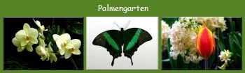 Palmengarten