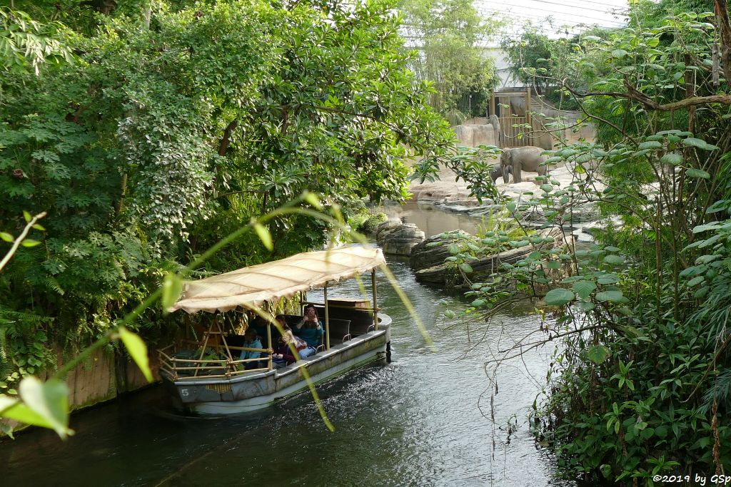 Rimbula River