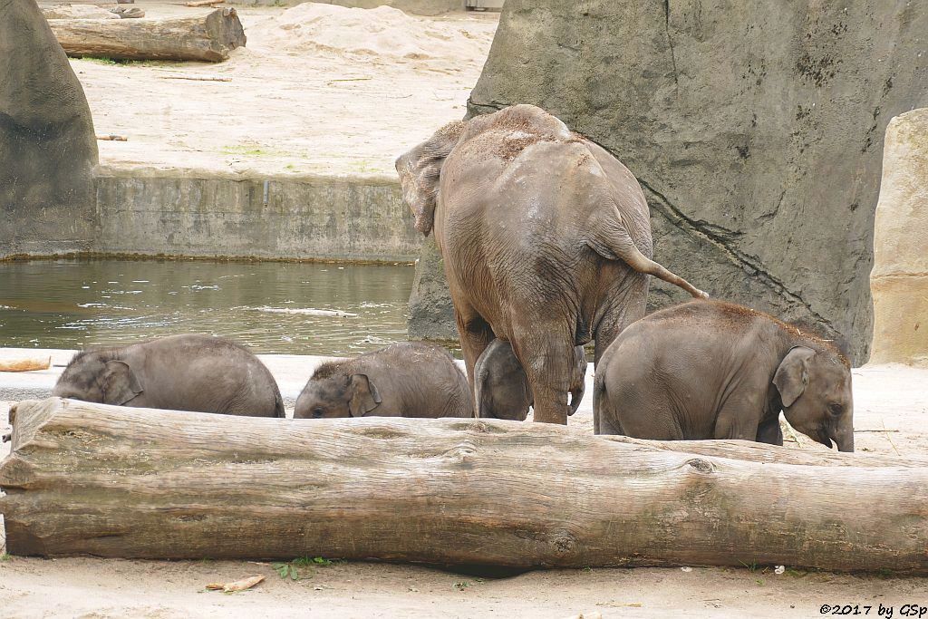 JUNG BUL KNE, MOMA, KITAI, TONG KOON, LA MIN KYAW