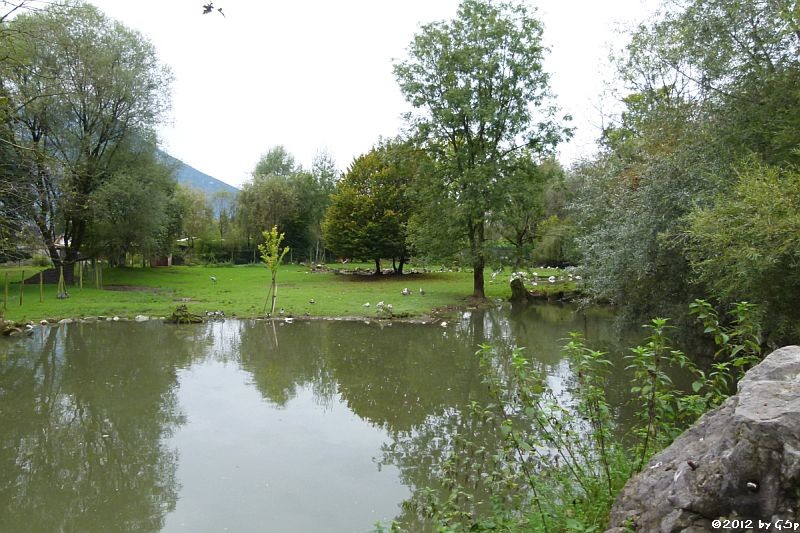 Vogelpark