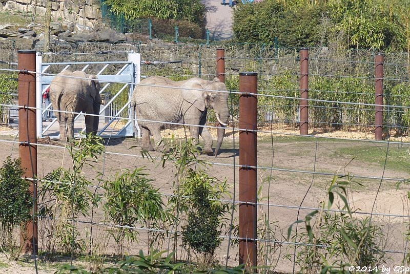 13.03.14 ARUBA und ZIMBA