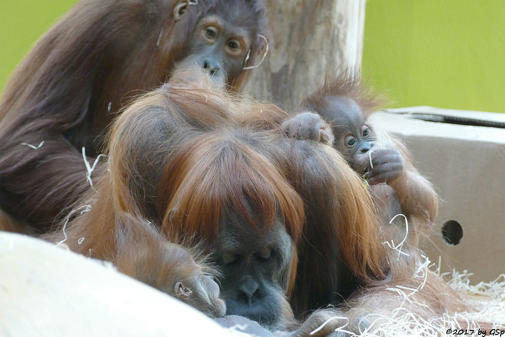 JAHE (Mama von QUINN) und MATRA