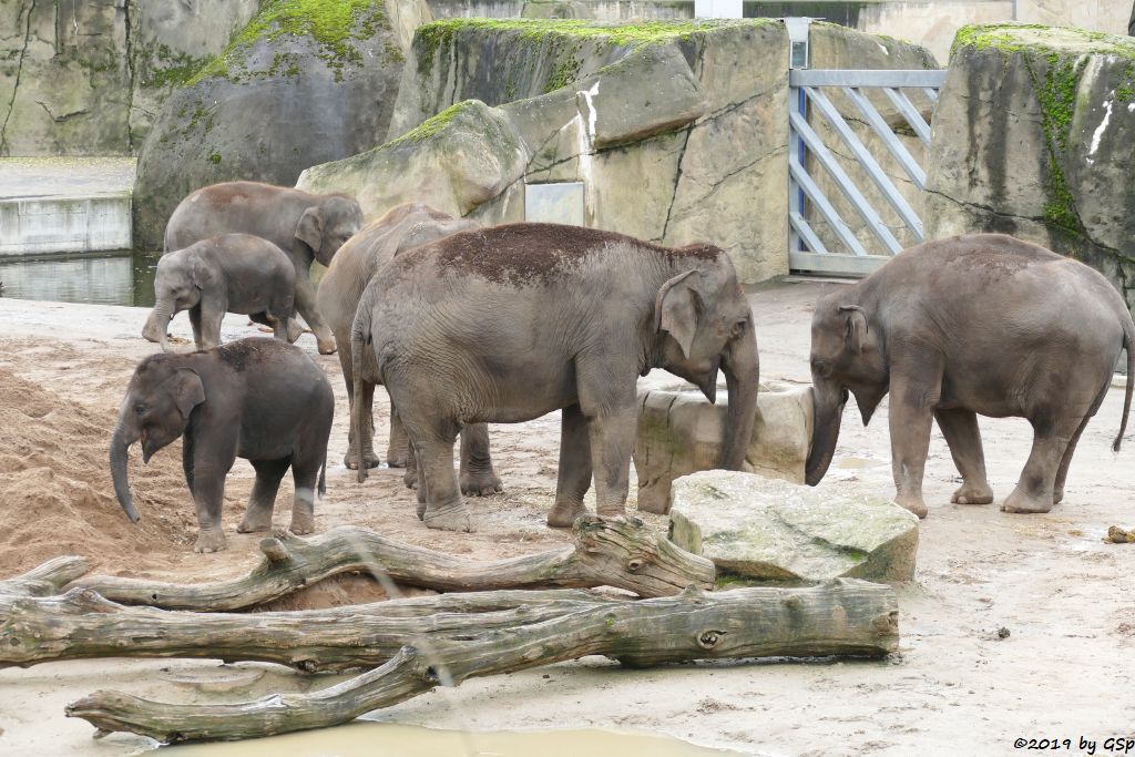 MOMA, KITAI, BINDI, KREEBLAMDUAN, LAONGDAW, MARLAR