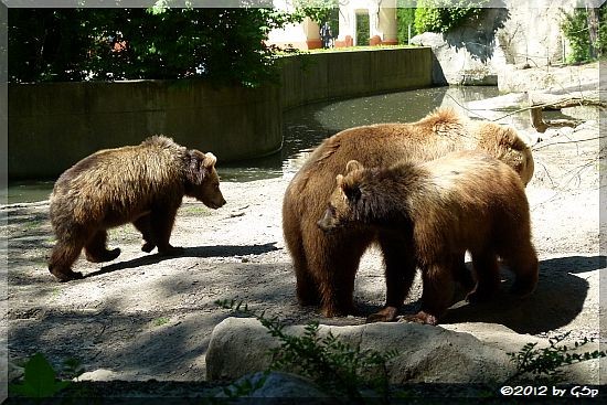 Mama MASCHA mit den Zwillingsbrüdern WANJA und MISHO, geb. am 24.1.11